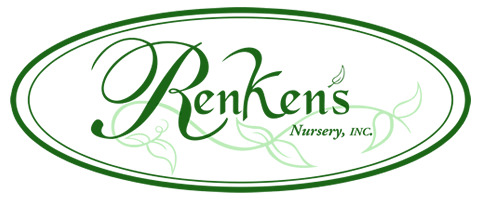 Renken's Nursery & Landscaping in Victoria TX Renken's Nursery & Landscaping in Victoria TX